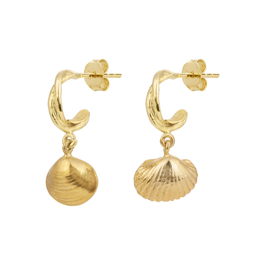 ZINNI HOOPS ROUND SHELL